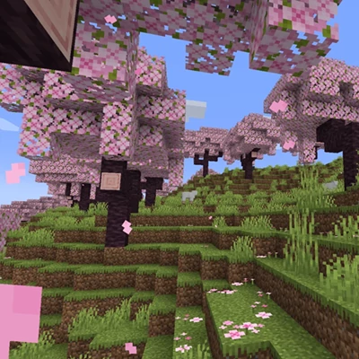 服务器版本图片